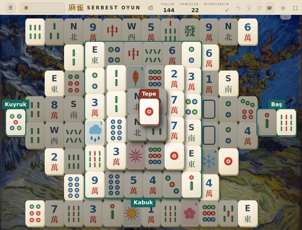 Yüksek kabuğun, tepedeki tek taşın, soldaki kuyruğun ve sağdaki iki taşlı başın çevresi çizgilerle işaretlenmiş gerçek bir Mahjong Tide Kaplumbağa başlangıcı.